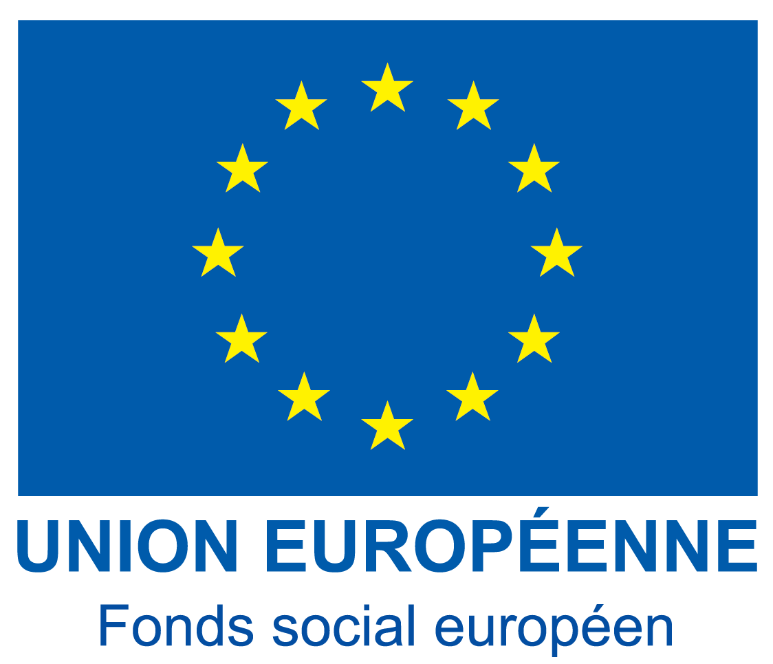 Logo Fonds social européen (FSE)