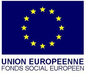 Logo Fonds social européen (FSE)