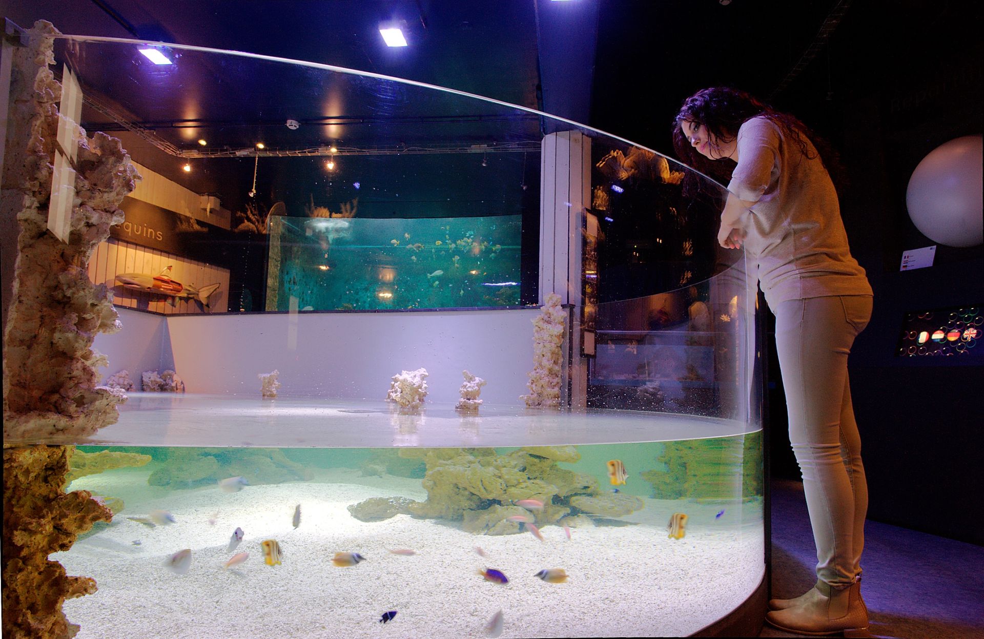photo Aquarium-Muséum de Liège