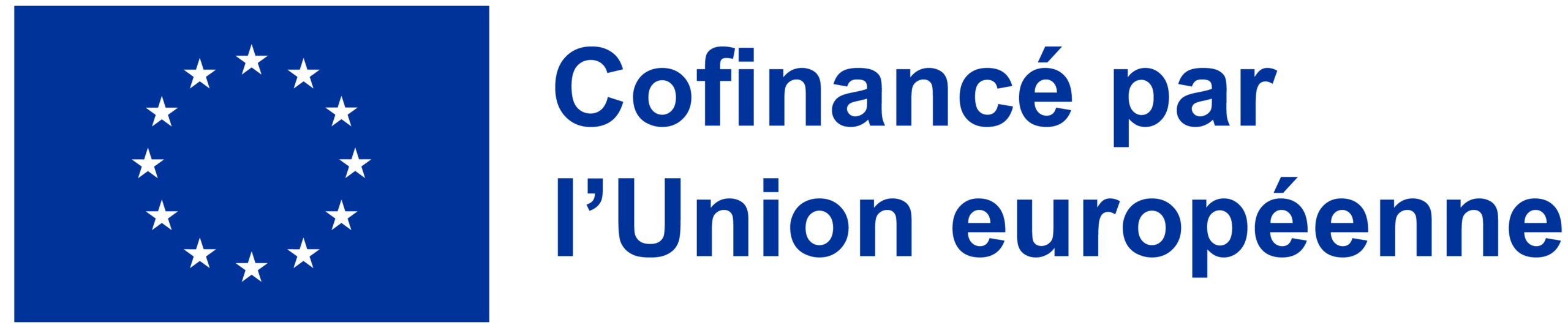 Logo Union européenne (UE)